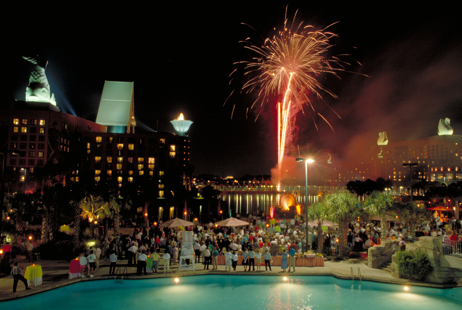 Evening Celebration at Swan